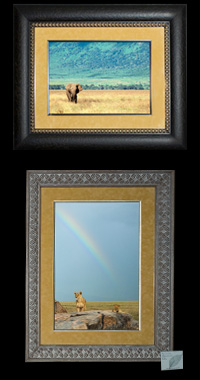 High Quality Framed Prints