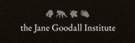 The Jane Goodall Institute